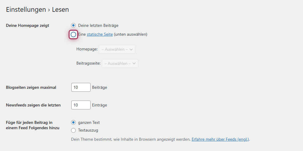 WordPress Einstellungen Lesen